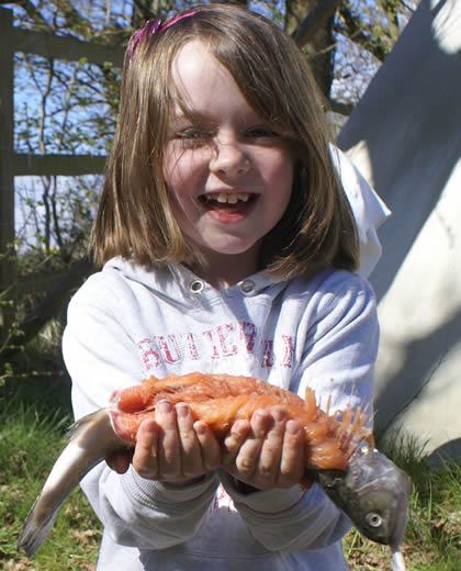 Fun with Trout