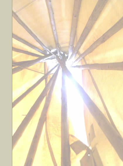 Tipi
