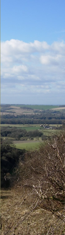 View from the Downs