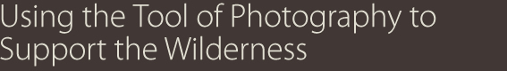 Using the tool of photography to support the wilderness